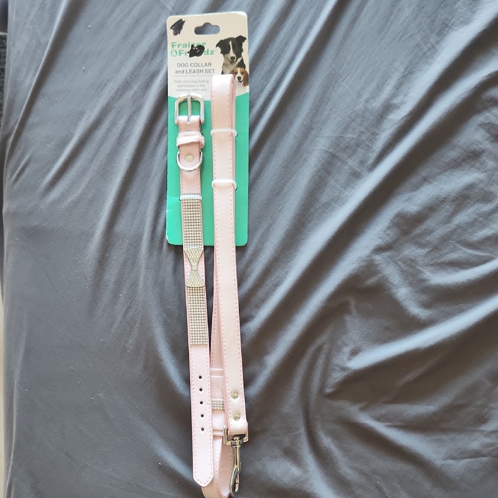 Pink Dog Collar and Leash Set